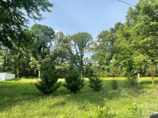0 East View Drive Bostic, NC 28018 - Photo 4 of 6