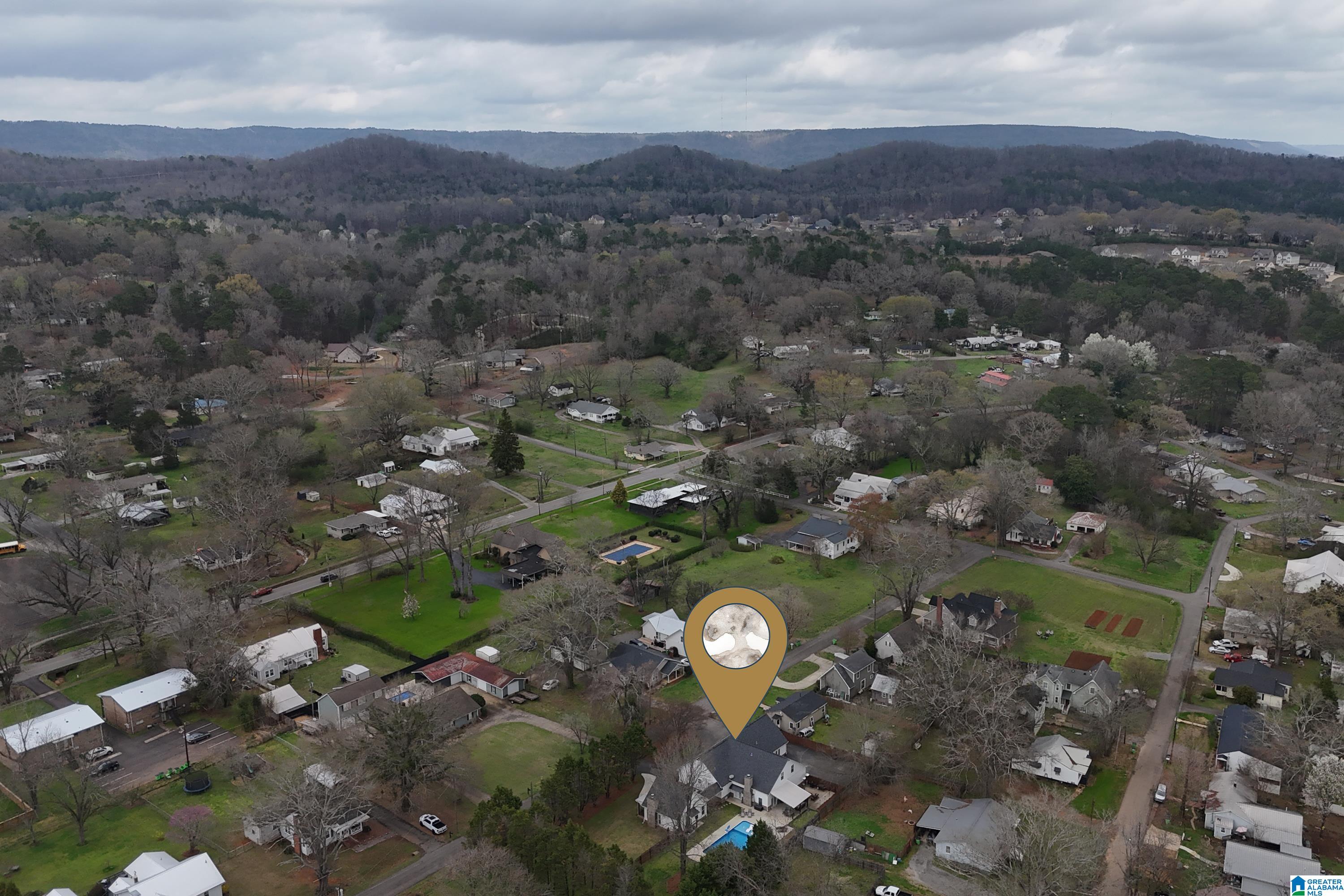 210 Forman Street Springville, AL 35146 - Photo 65 of 66