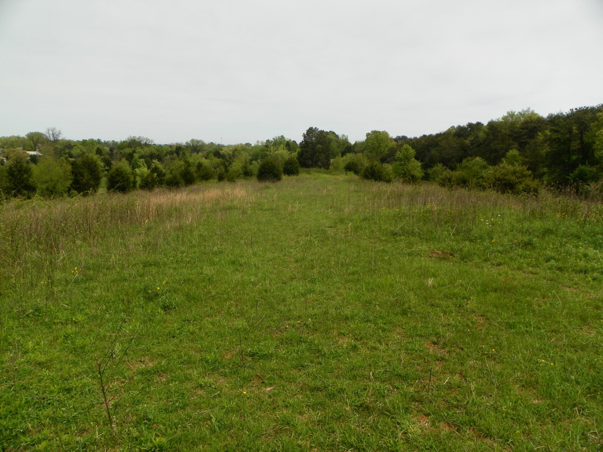 0 Niles Ferry Road Greenback, TN 37742 - Photo 7 of 33 Gallery Image 7