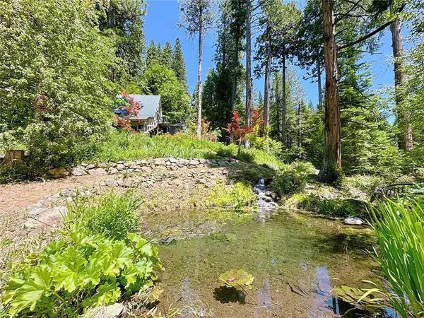 a view of a garden with plants