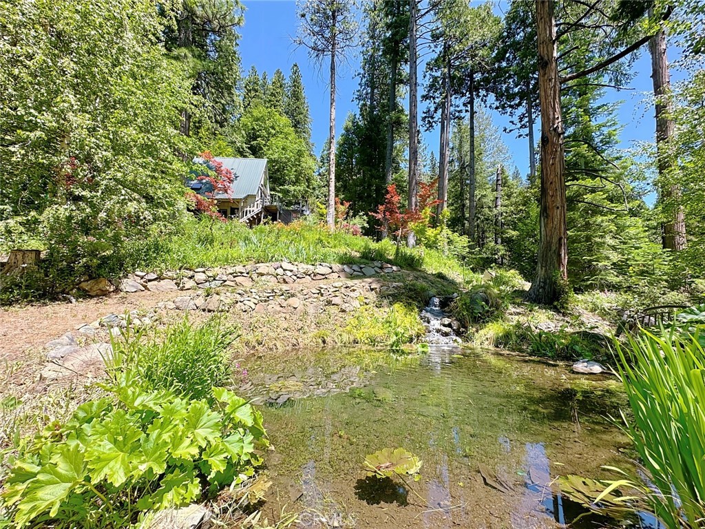 35 Sierra Buttes Road Sierra City, CA 96125 - Photo 20 of 37 a view of swimming pool with a garden
