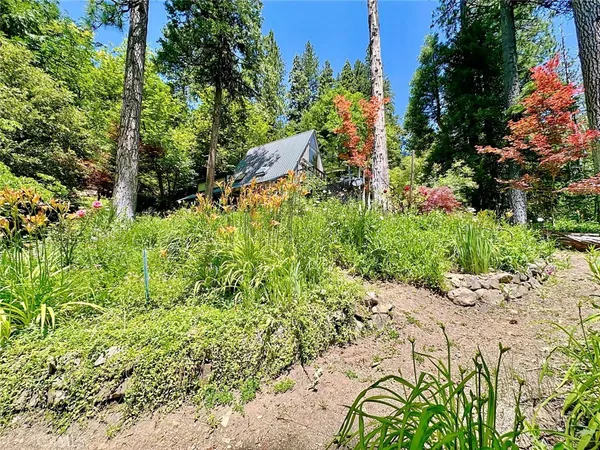 a view of outdoor space and garden