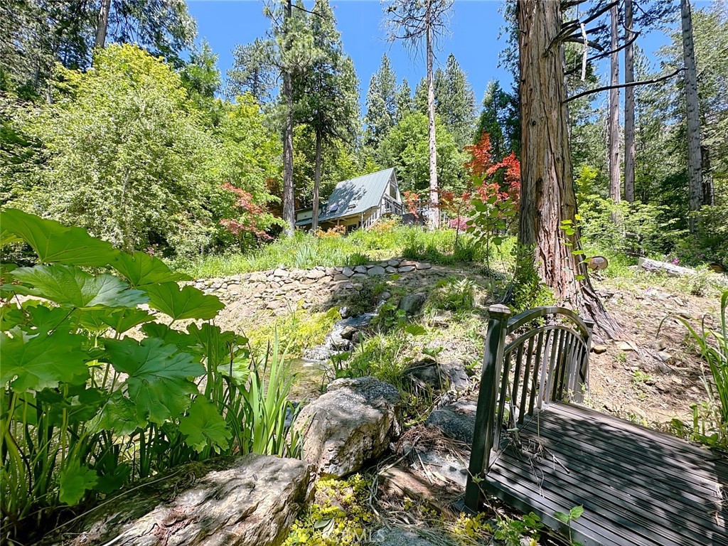 35 Sierra Buttes Road Sierra City, CA 96125 - Photo 22 of 37 a view of outdoor space and garden