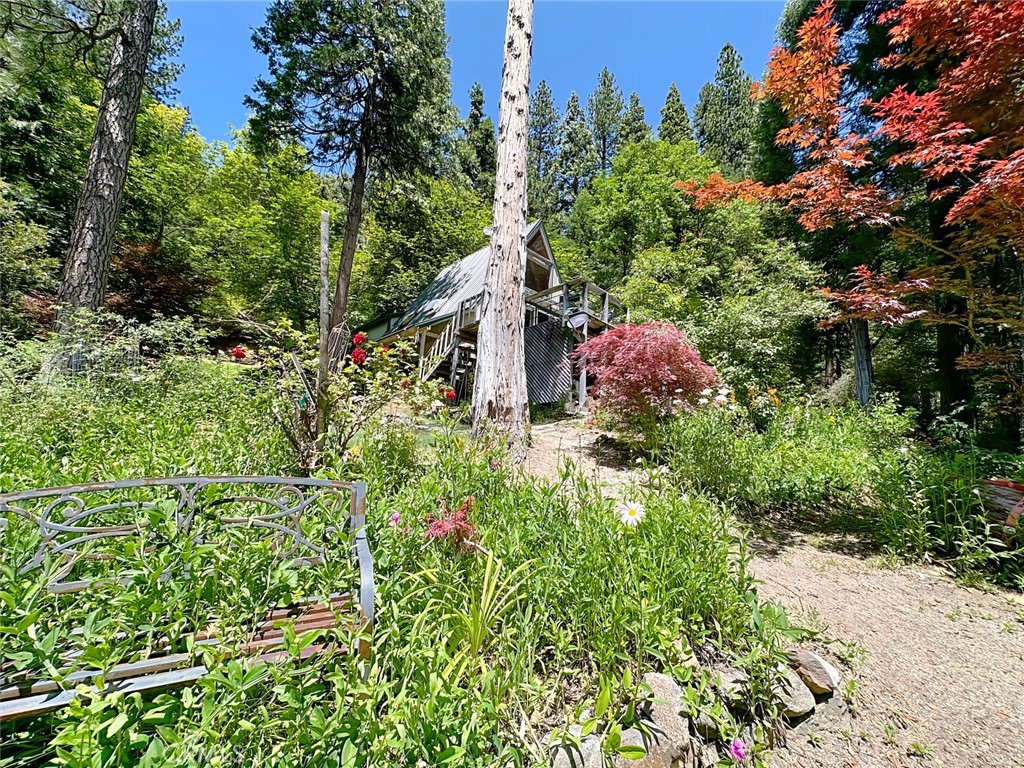 35 Sierra Buttes Road Sierra City, CA 96125 - Photo 23 of 37 a view of a garden with plants and large trees