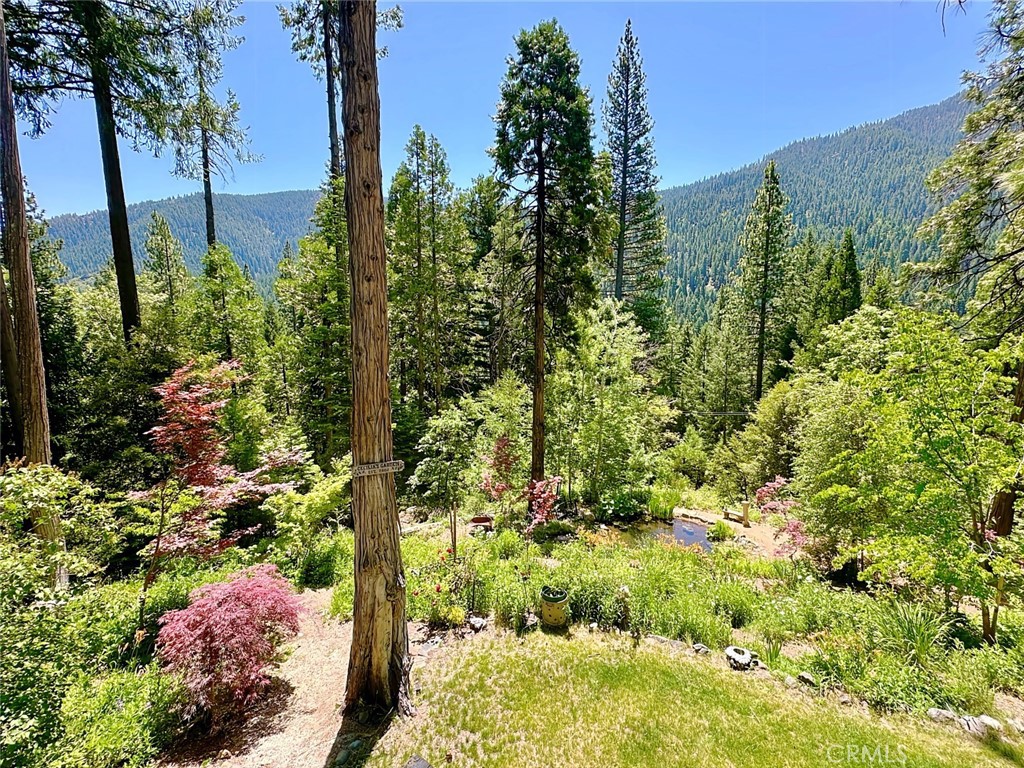 35 Sierra Buttes Road Sierra City, CA 96125 - Photo 24 of 37 a view of a garden