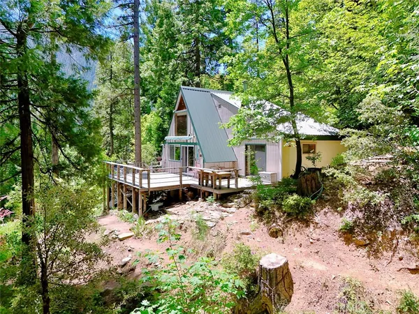 a view of a yard with large tree