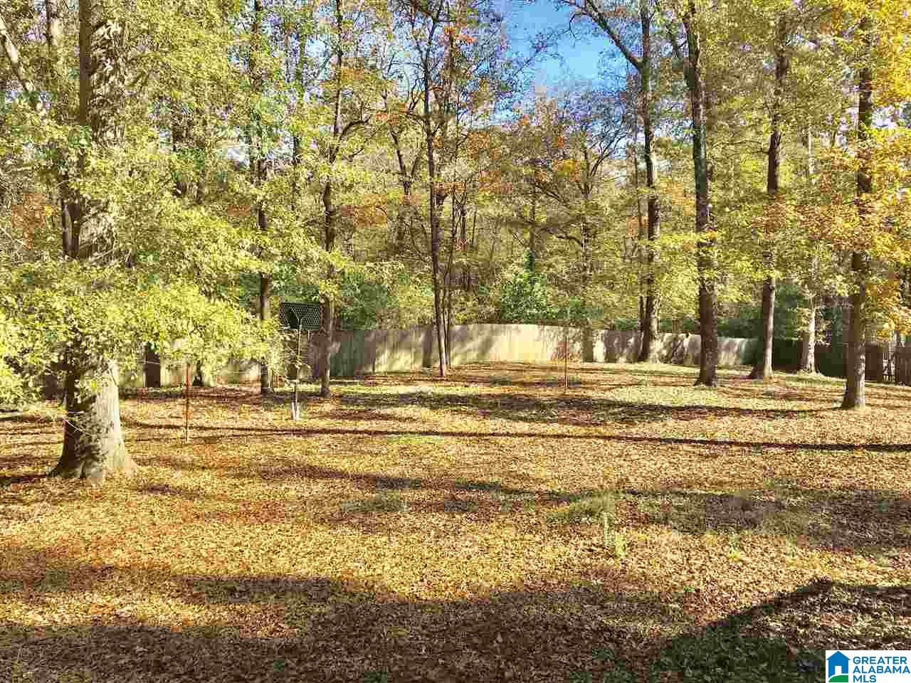 1205 Cherokee Road Jasper, AL 35501 - Photo 27 of 29