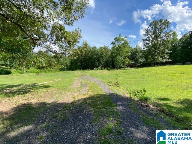 1790 Pleasant Valley Road Odenville, AL 35120 - Photo 36 of 46 Gallery Image 36