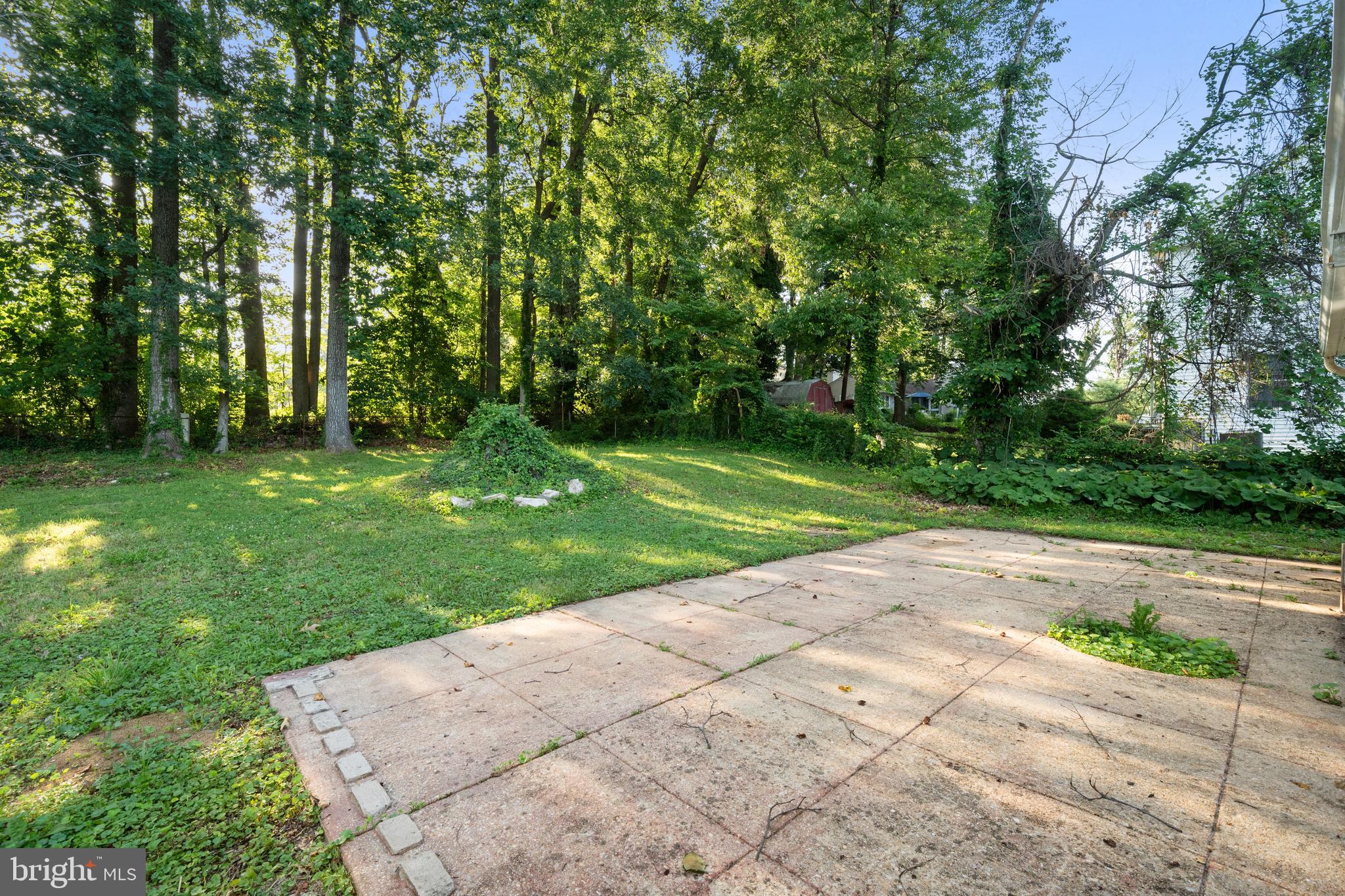 5505 Heming Avenue Springfield, VA 22151 - Photo 32 of 37 a view of a park with a trees