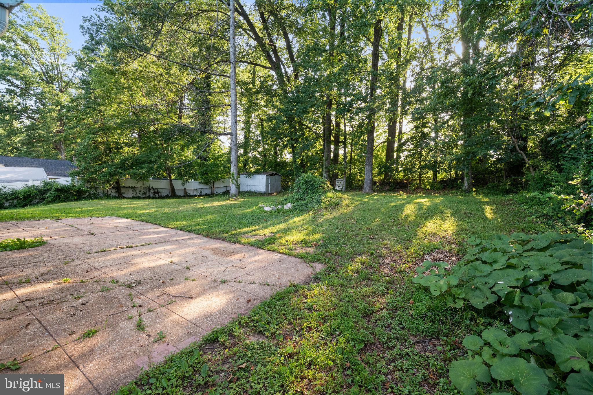 5505 Heming Avenue Springfield, VA 22151 - Photo 34 of 37 a view of a park with large trees