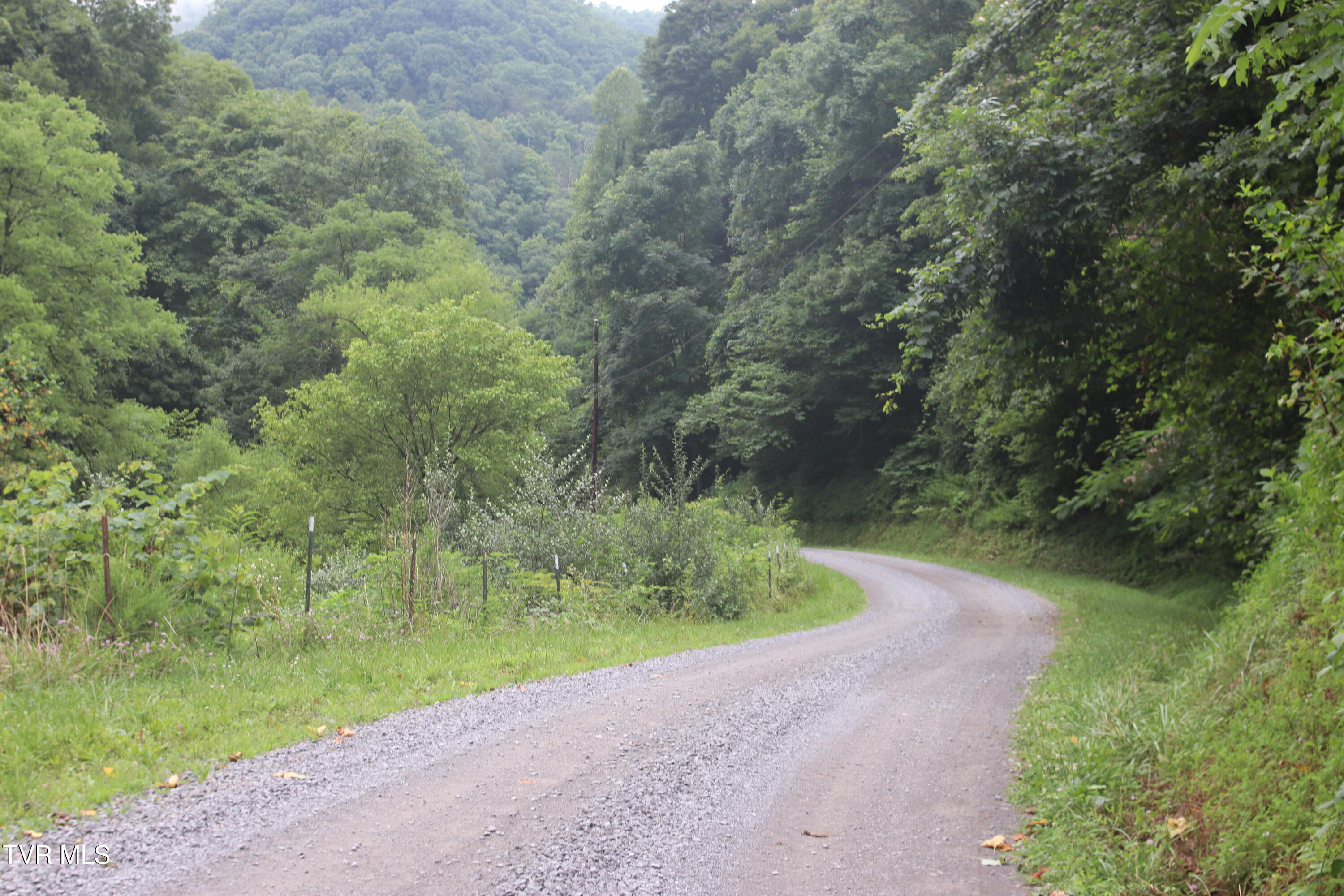 ford branch rd 7