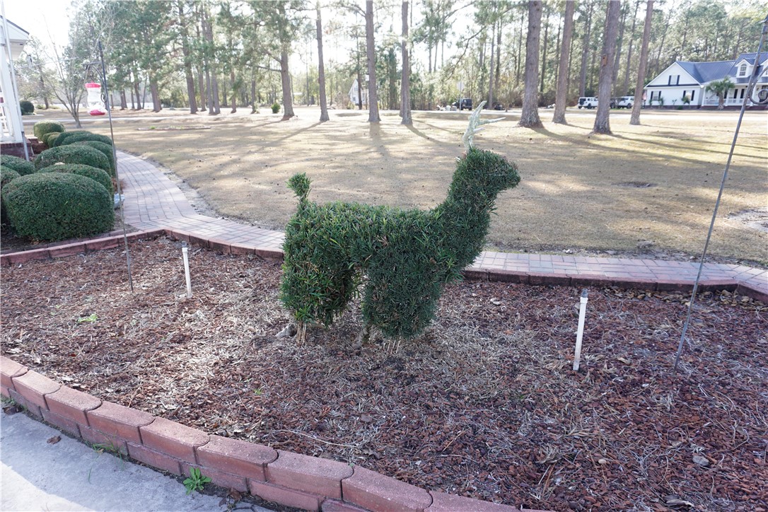 5710 Wooddell Ridge Road Waycross, GA 31503 - Photo 17 of 35 Topiary dear (with antlers)