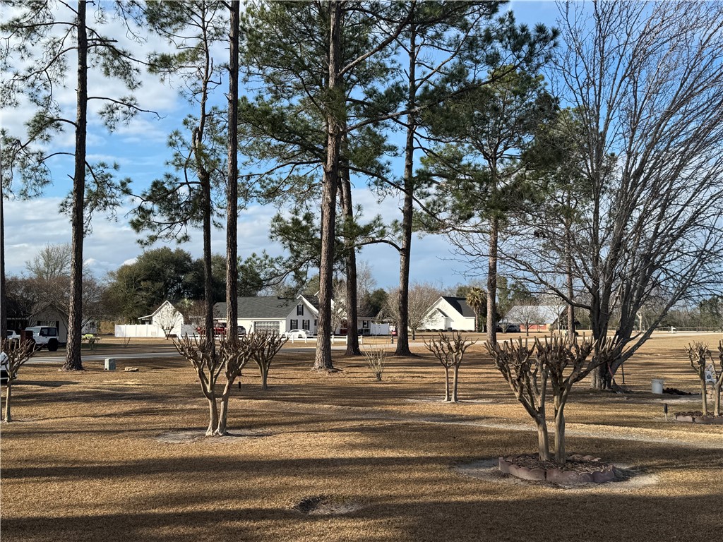 5710 Wooddell Ridge Road Waycross, GA 31503 - Photo 29 of 35 crepe myrtles line the drive