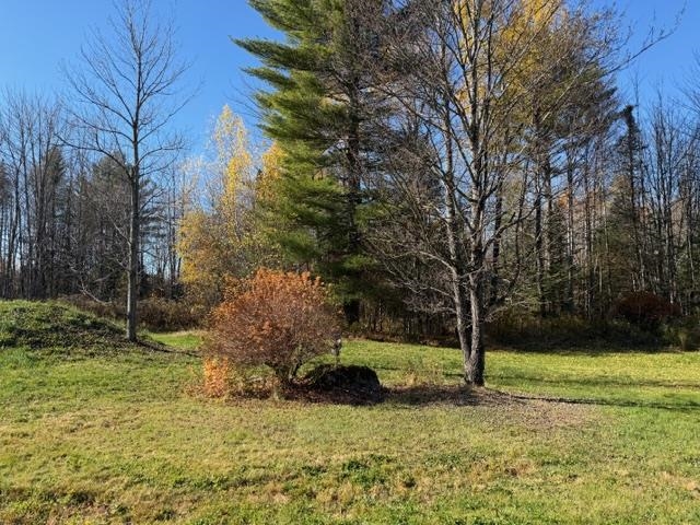 535 Cooper Hill Road Hyde Park, VT 05655 - Photo 5 of 9