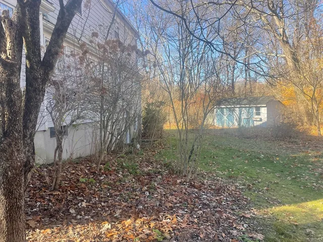 a view of yard with trees