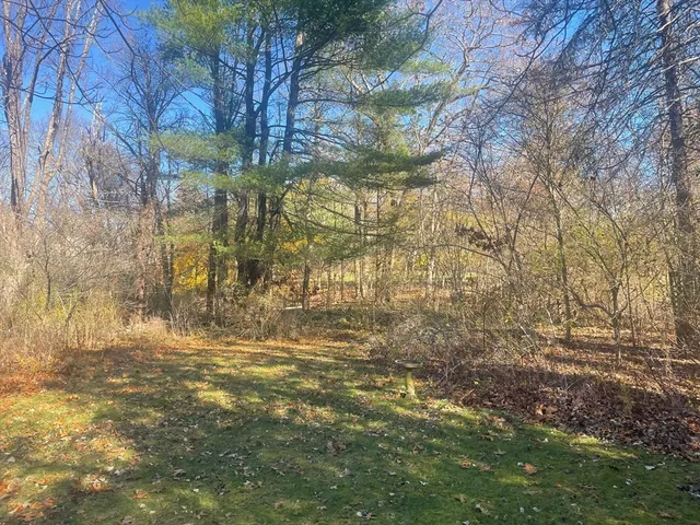 a black and white photo of a book