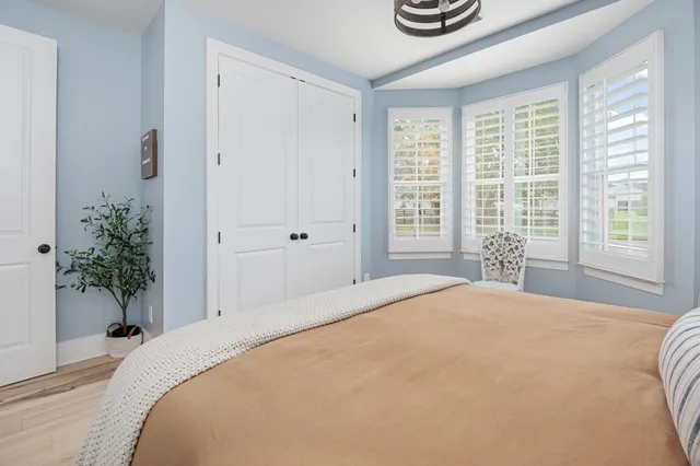 a room with furniture potted plant and a window