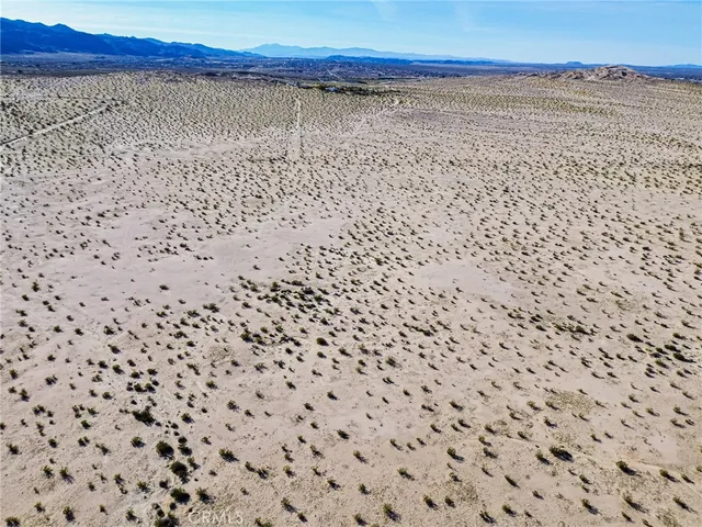 a view of a dry yard with wooden fence