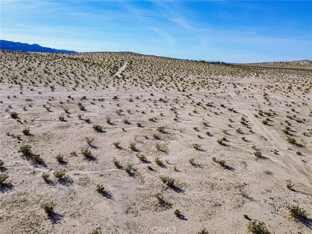 a view of a dry yard