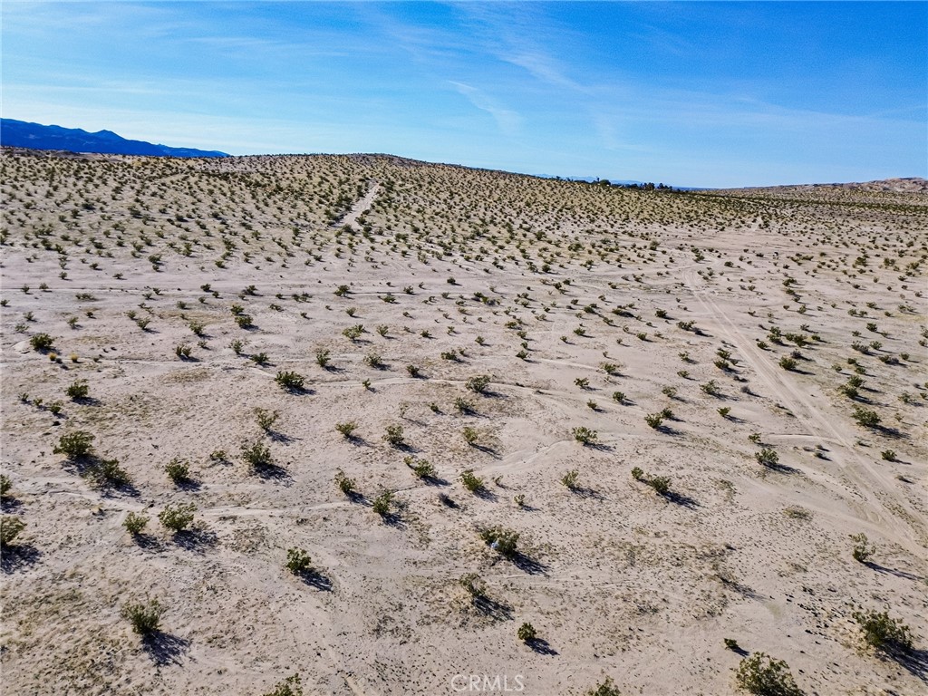76100 2 Mile Road Twentynine Palms, CA 92277 - Photo 32 of 37 a view of a dry yard with wooden fence
