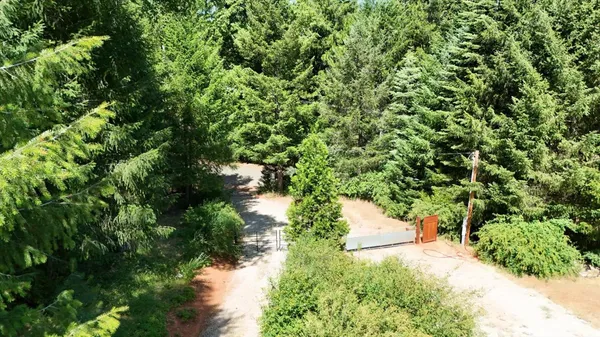 a view of a yard with plants and trees