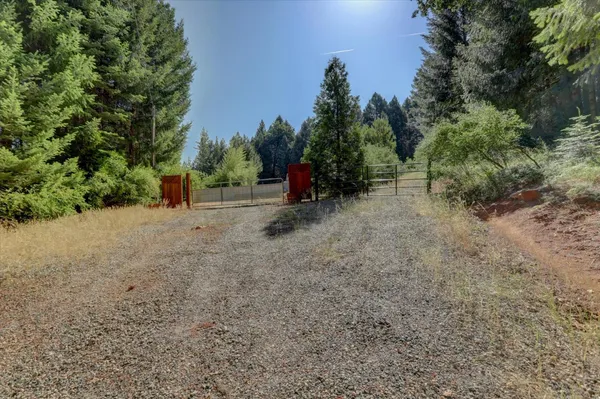 a view of a backyard