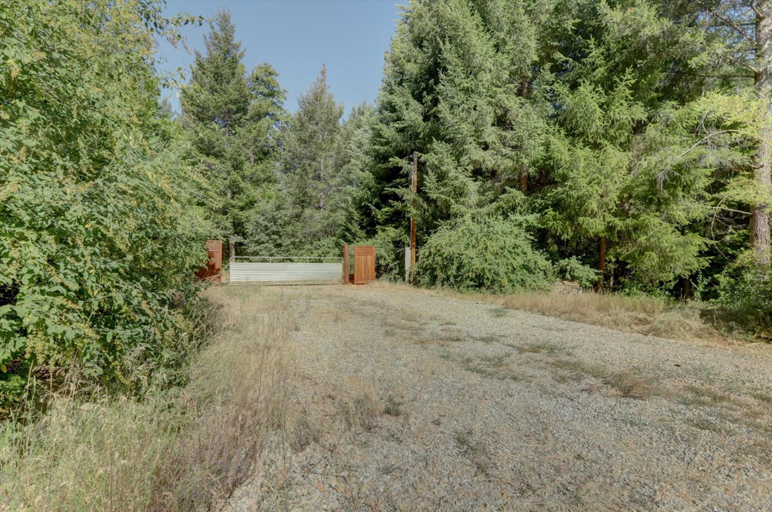 480 Pike City Road North San Juan, CA 95960 - Photo 22 of 46