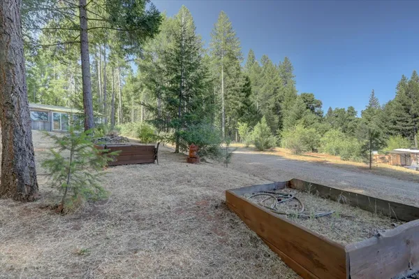 a view of a fountain with big tree