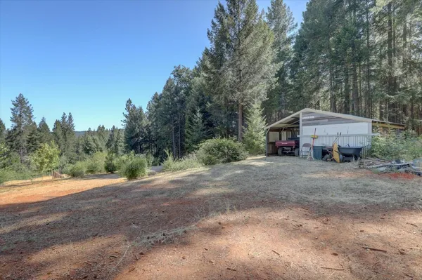 a view of outdoor space with trees all around