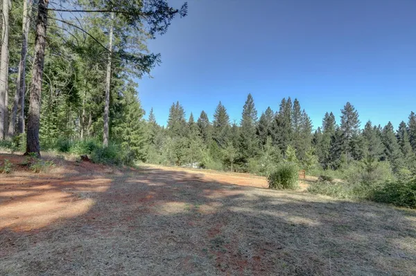 a view of a field with trees in the background