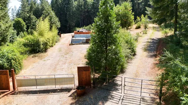 a view of a yard with large trees