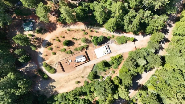 a view of a city with lush green forest