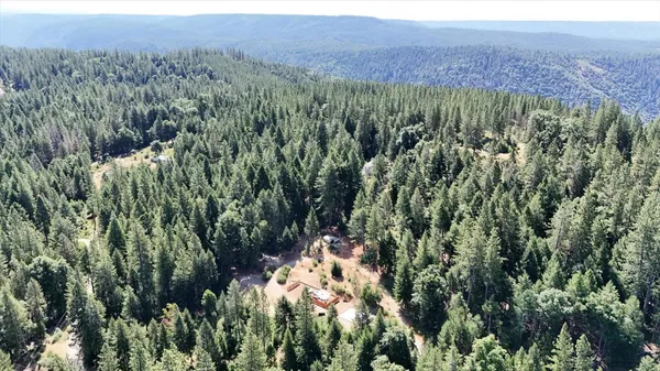 a view of a house in a forest