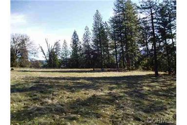 0 Ridgecrest Way West Point, CA 95255 - Photo 1 of 1 Gallery Image 1