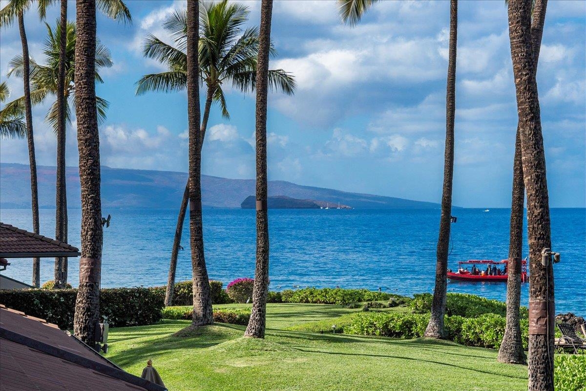 4850 Makena Alanui Road, Unit E205 Kihei, HI 96753 - Photo 41 of 45