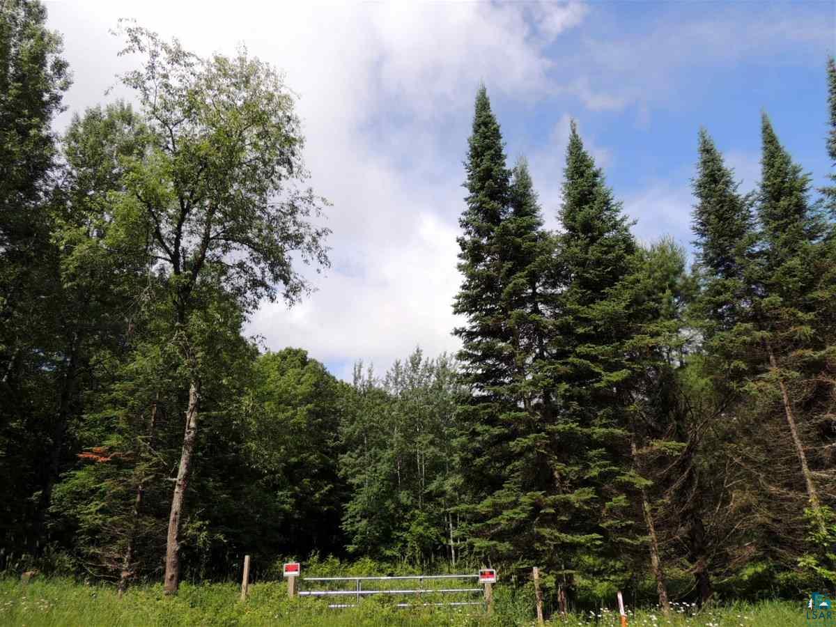 Lot 2 Karow Trail Cable, WI 54821 - Photo 3 of 12 Gallery Image 3