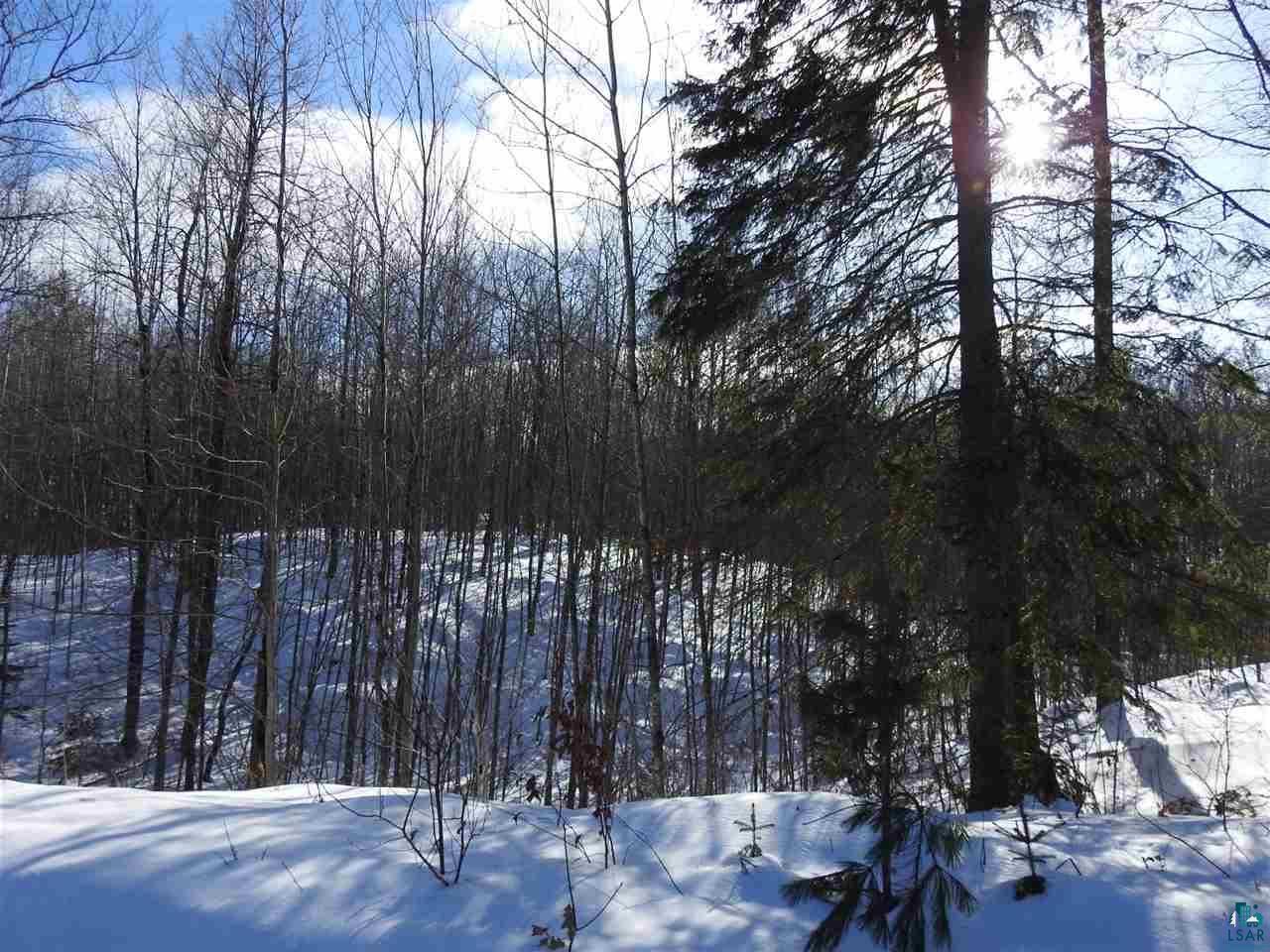 Lot 2 Karow Trail Cable, WI 54821 - Photo 5 of 12 Gallery Image 5