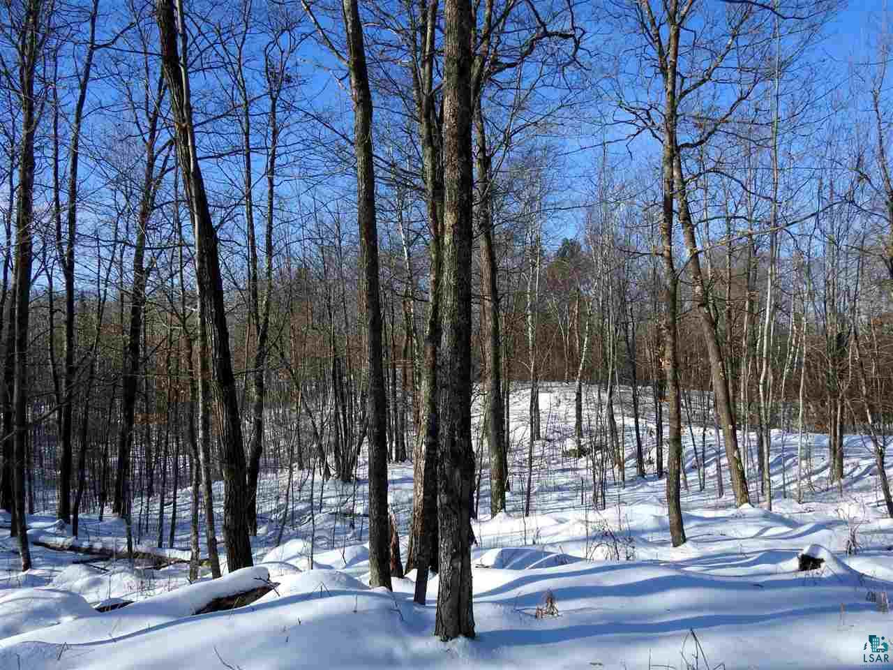Lot 2 Karow Trail Cable, WI 54821 - Photo 6 of 12 Gallery Image 6