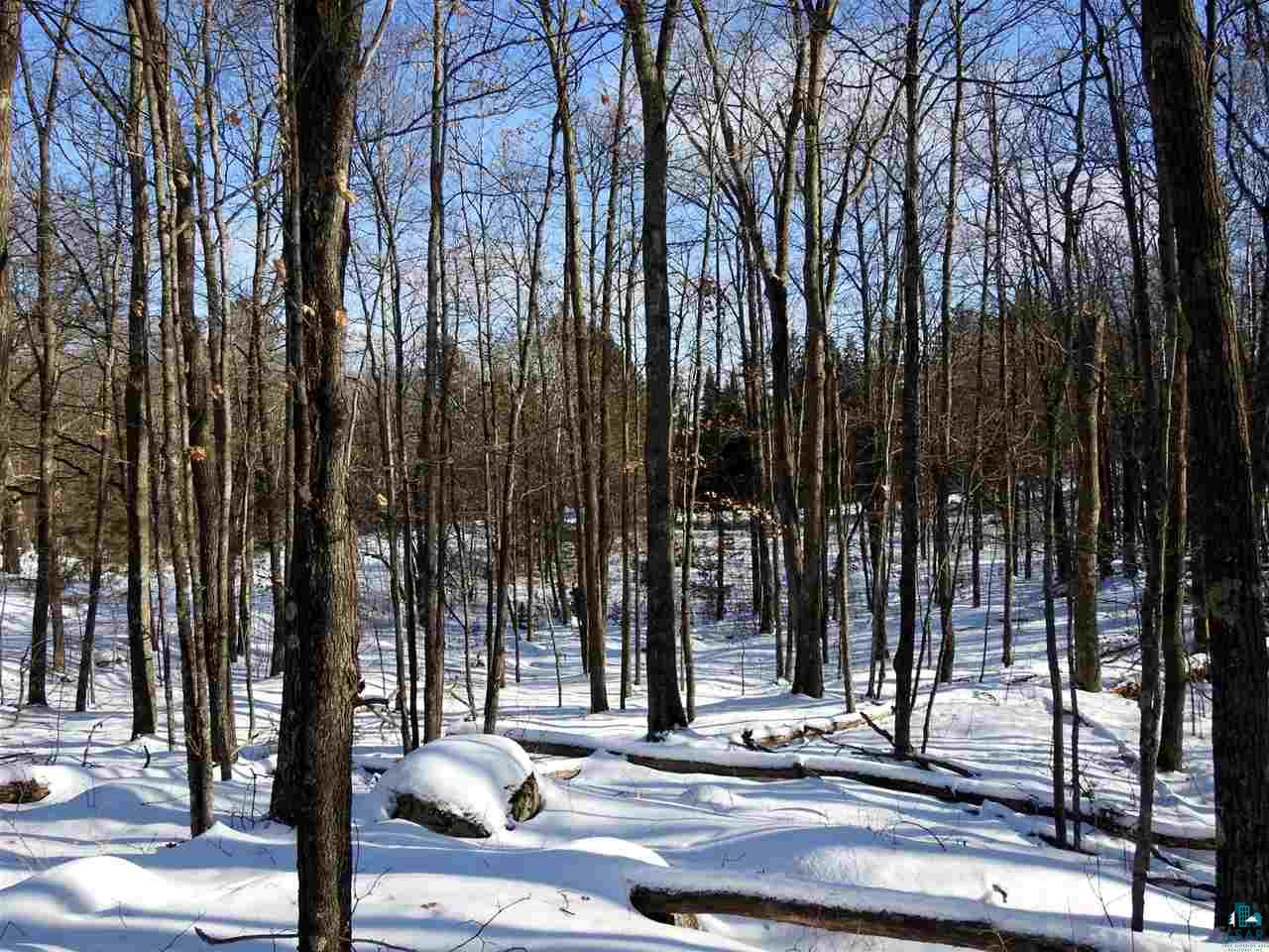Lot 2 Karow Trail Cable, WI 54821 - Photo 7 of 12 Gallery Image 7