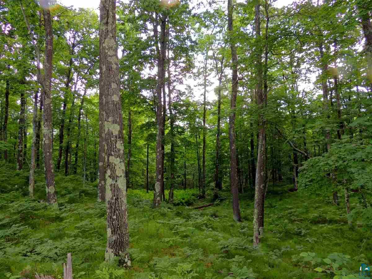 Lot 2 Karow Trail Cable, WI 54821 - Photo 8 of 12 Gallery Image 8