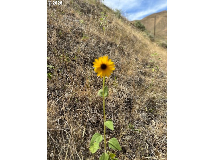 32214 Snake River Road Huntington, OR 97907 - Photo 2 of 24