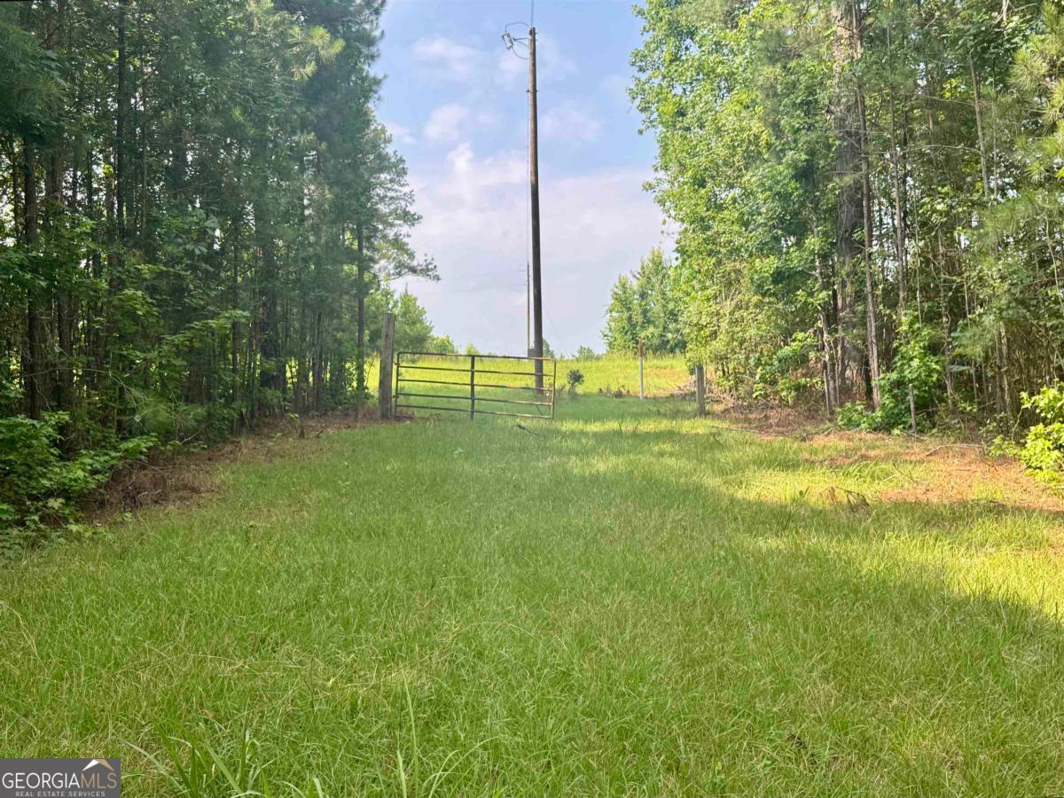 0 Springfield / Turner Road Union Point, GA 30669 - Photo 11 of 34