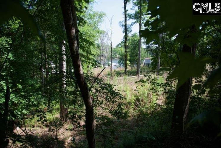 415 Alice Harris Road Prosperity, SC 29127 - Photo 4 of 7