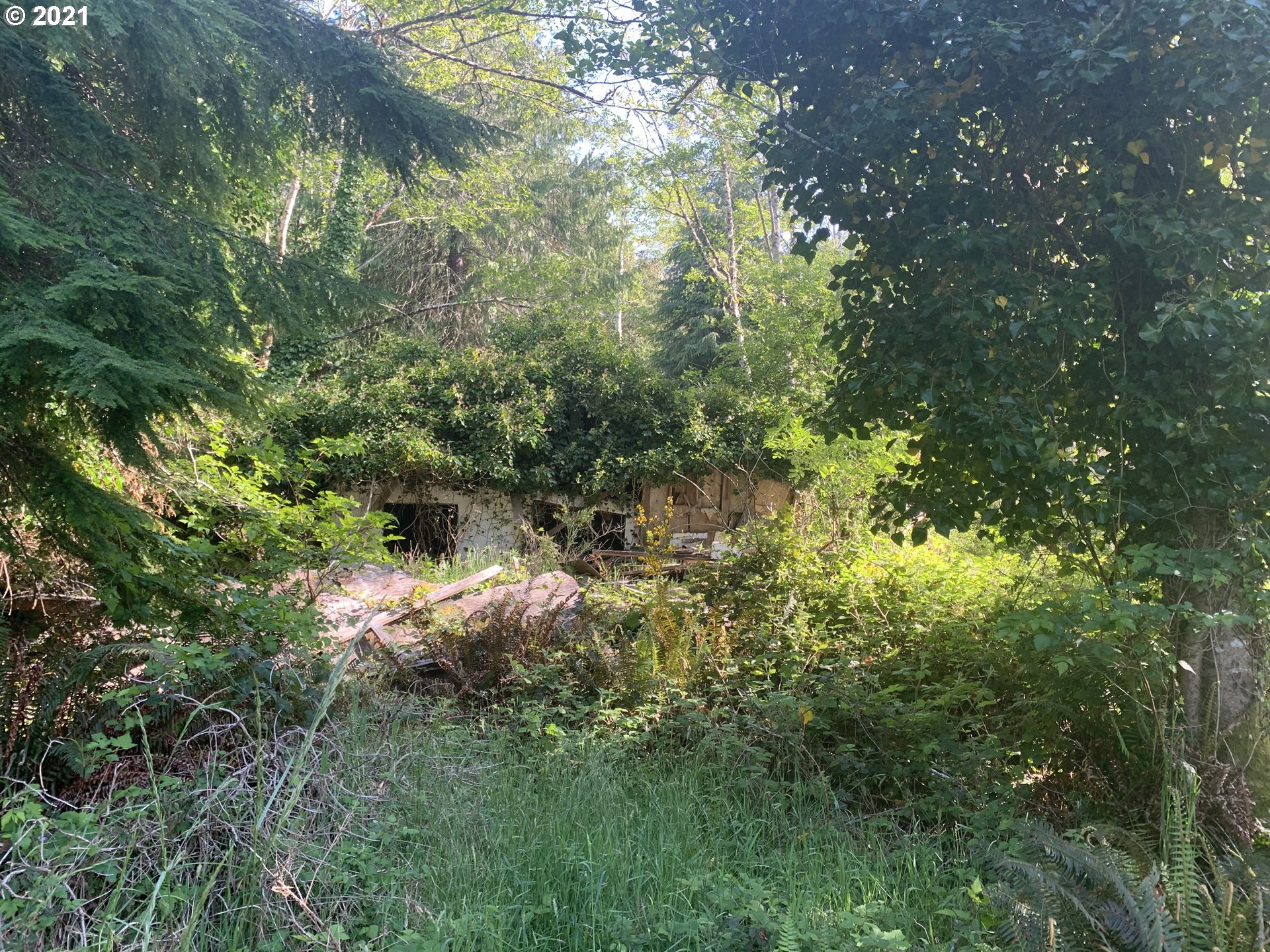 Gallery Image 6