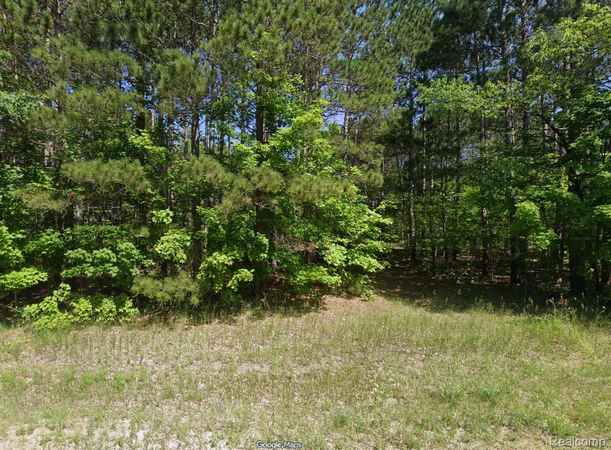20884 Fewins Road Interlochen, MI 49643 - Photo 1 of 1 fewins.jpg