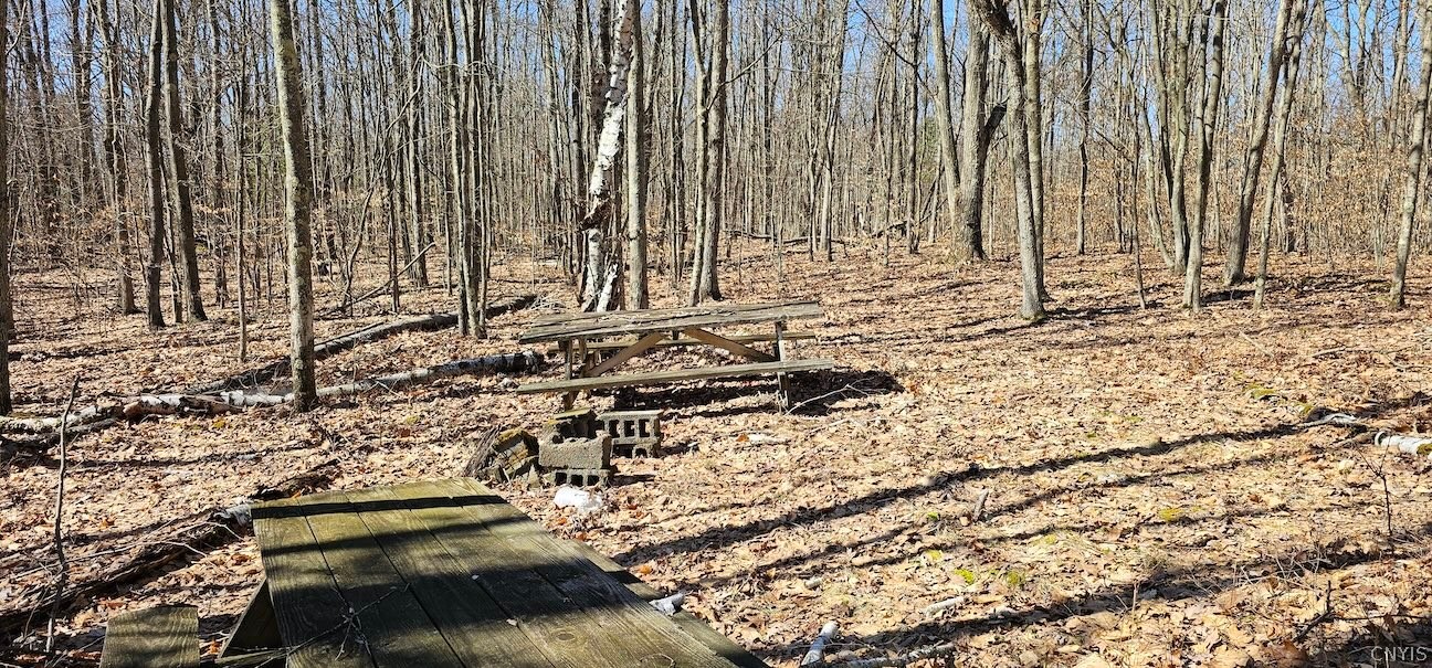 South Hill Road Van Etten, NY 14889 - Photo 11 of 34 Gallery Image 11