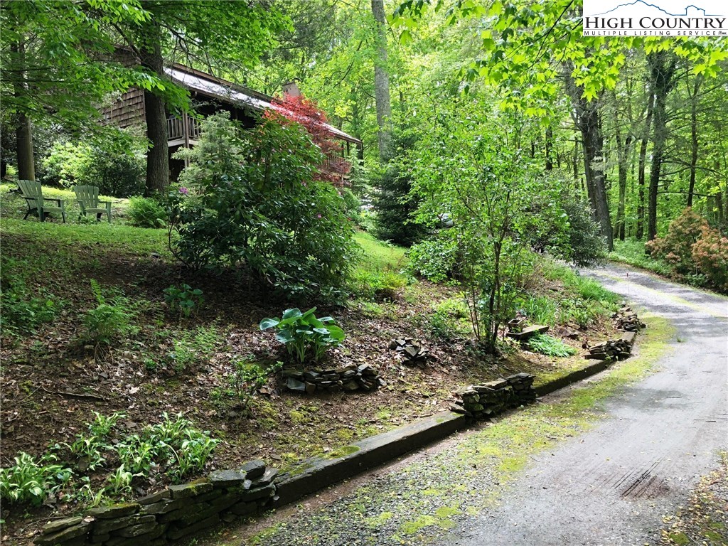 257 Cameron Terrace Boone, NC 28607 - Photo 1 of 42 a view of a garden with plants