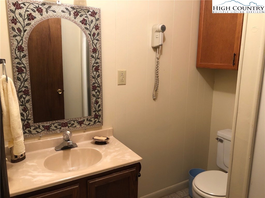 257 Cameron Terrace Boone, NC 28607 - Photo 34 of 42 a bathroom with a sink and mirror with toilet