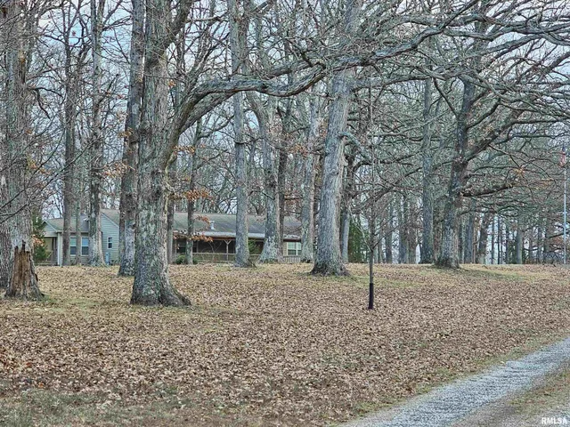 $200,000 | 14228 North Paul Lane, Bluford, IL 62814