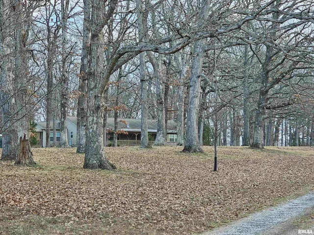 $200,000 | 14228 North Paul Lane, Bluford, IL 62814